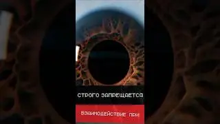 MEDICAL DIVISION / Запрещается!