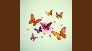 Chaotic Harmony