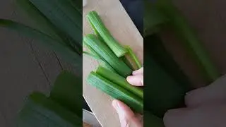 #cebolletas#huevo#tortillaverde#comida#verde#daelcambio#cambiaresposible#0procesados#adi&oacute;senfermedad