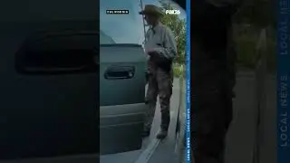 Tesla vandal caught on camera in Central California