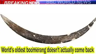 World's oldest boomerang doesn't actually come back