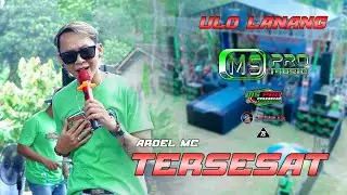 TERSESAT ~ AROEL MC ~ NEW MS PRO MUSIC LIVE ULO LANANG FAMILY