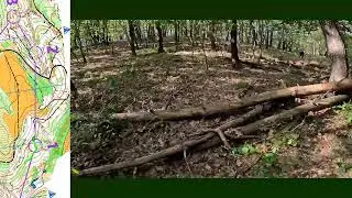 Analyze my orienteering #56 Marathon 