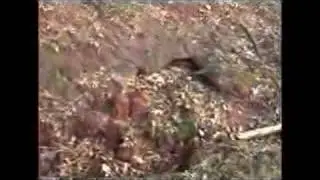 Zuper John video #2