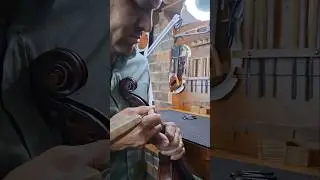 VIOLINO EAGLE VK 644 🦅