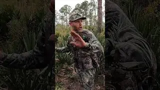 DON'T SHOOT! Bulletproof turkey vest? Turkey vest test #4... #hunt #review #exremetest #tidewe