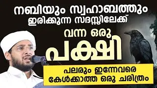 പലരും ഇന്നേവരെ കേൾക്കാത്ത ഒരു ചരിത്രം | നൗഫൽ സഖാഫി കളസ ഏറ്റവും പുതിയ പ്രഭാഷണം 