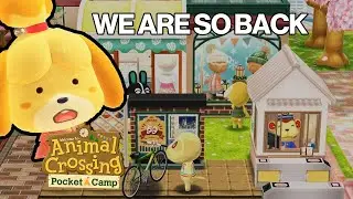 WHAT 3 DAYS PLAYING ANIMAL CROSSING POCKET CAMP COMPLETE LOOKS LIKE