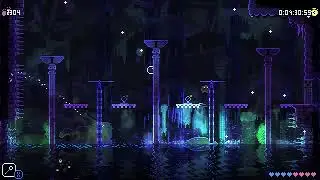 Animal Well SSRL2 in 16:57