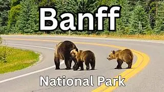 Is One Day Enough for BANFF NATIONAL PARK?