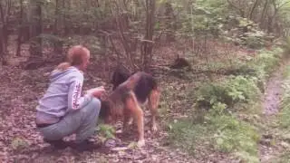 2 psy  znalezione w lesie - Sara i Nero.