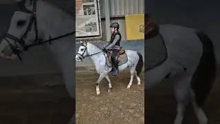 Deze sprong😍 #silver #showjumping #horse #pony #training #fun #love #horseedit