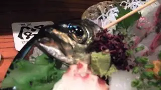 sashimi ikezukuri part2 'fish tail'