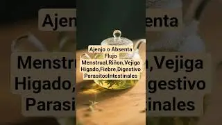 #ajenjo #absenta #plants #natural #subscribe