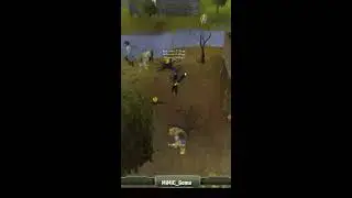 RETRO Mimic_game - OS RuneScape
