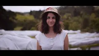 Food & Culture Teaser Trailer