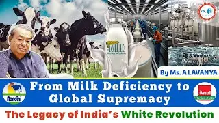Белая революция в Индии: история молочной электростанции 🥛🇮🇳