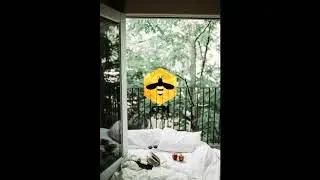 Lockdown - Baribal & Pold🎧 (No Copyright)