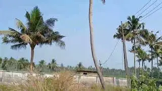 Aluva uc.college  madrasapade 4.5cent house polot sael 90746 71682  price  410lkesham
