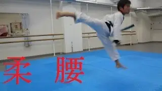 【動的ストレッチ】テコンドー ストレッチ講座　動ける身体作り 　WTFテコンドー