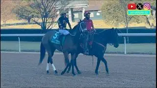 Improving Foie Gras Seeks Second Straight Stakes Win in 2026 Bugler Stakes