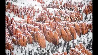 Hidden Wonders Of A Frozen Canyon!