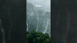 🍃Sahyadri in Monsoon | #sahyadri #pune #monsoon #rain #andharban