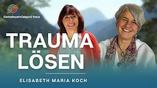 Alltags-Trauma, Kindheits-Trauma und Trauma-L&ouml;sung