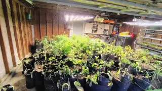 How To Water Winter Urban Garden With Farmer Boy #garden #video 