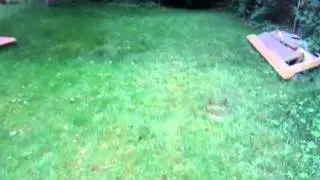 Raw video shot with HTC HD7S