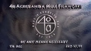 40 Acres and a Mule Filmworks/Paramount Pictures (2000; 