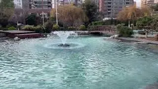 Peaceful Moments in Göztepe Park .