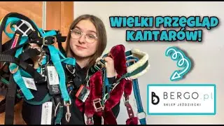 Kantar dla konia, kt&oacute;ry wybrać najlepiej?