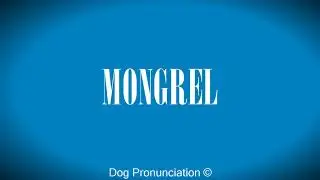 How to pronounce  MONGREL