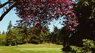 12303 Harbour Pointe Blvd  Mukilteo - NWMLS #2407896 - Offered at - $328,888 USD