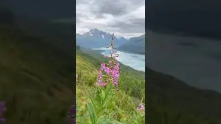 for the wildflower photographers and state park explorers&hellip;