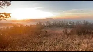 Walking Wild Iris Ridge in Eugene Oregon, January 2025