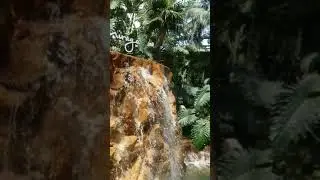 Mirage lobby waterfall