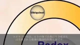 The Power Of Ubiquinol In BioPro Q | Free Anti Aging Info