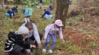 State House Primary School go Greener!