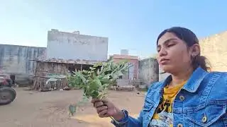 New Vlog  my home 