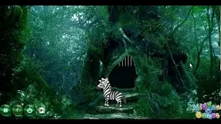 Rescue Mission  Zebra walkthrough HiddenOGames.