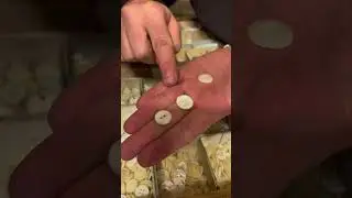 Botones de nacar