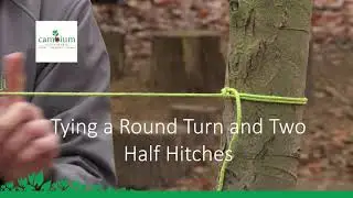 Forest School Skills - Round Turn and Two Half Hitches