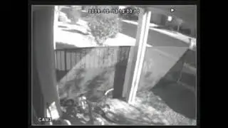 Missing People CCTV Footage: Steven Koecher
