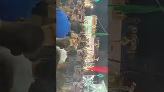 janjeer mahatam🙌🏻#islamicstatus #islamicvideo #muharram #yaali #nadeemsarwar #noha #mahatam#viral