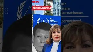 Duterte&rsquo;s Defense Outlines Strategy Ahead of ICC Hearing #philippinepolitics #rodrigoduterte