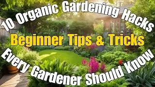 10 Organic Gardening Hacks Every New Gardener Should Know | Beginner Tips & Tricks #EcoGrowCommunity