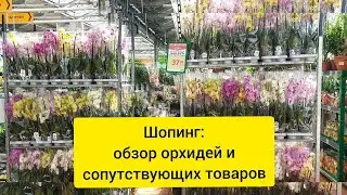 Обзор орхидей в магазине в Минске || Покупаю горшки, кору, янтарин врк