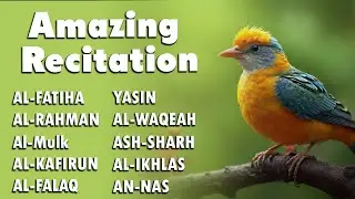 Have you heard a recitation more beautiful than this | Peace of Mind